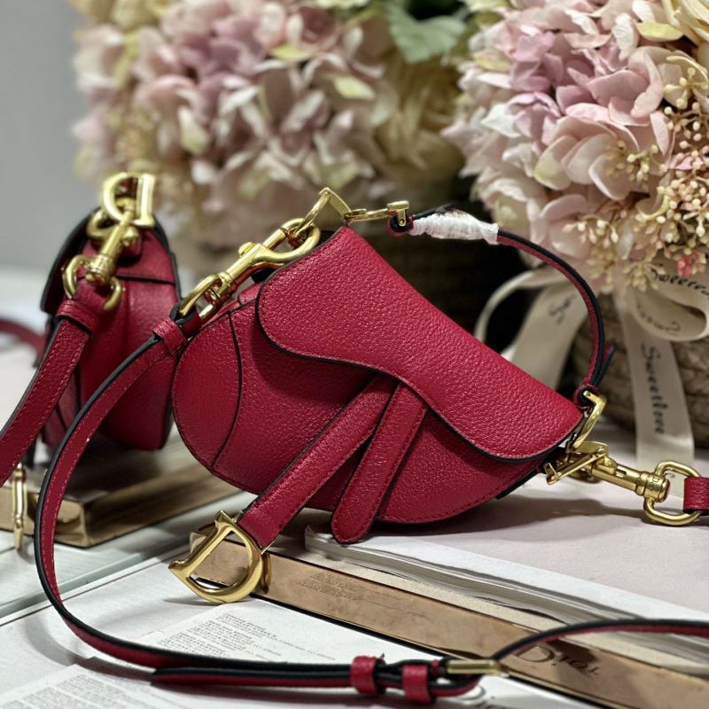 Christian Dior Saddle Bags - Click Image to Close